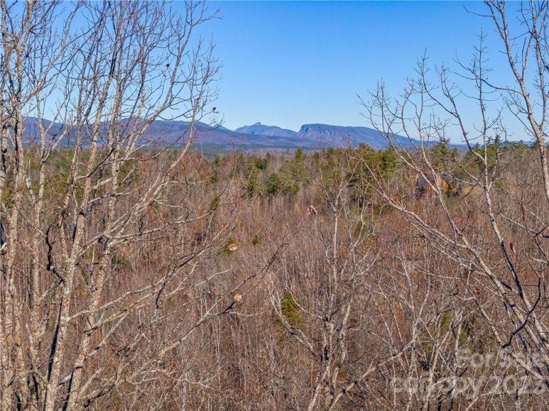 Property image 3 of 138 139 High Trail Drive in The Arbor at Lake James, Nebo, NC 28761