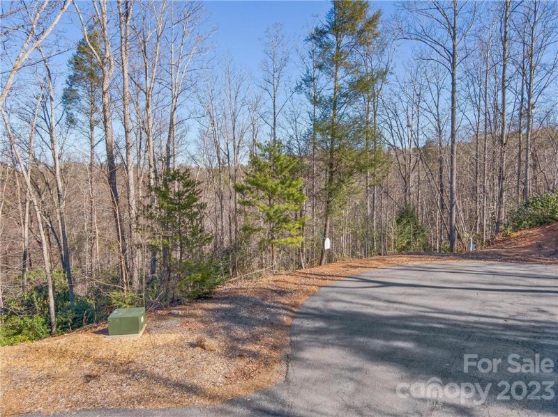 Property image 5 of 138 139 High Trail Drive in The Arbor at Lake James, Nebo, NC 28761