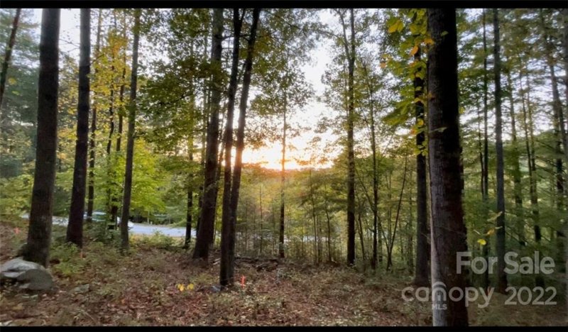 Property image 2 at 16 Courseview Drive, Weaverville, NC 28787