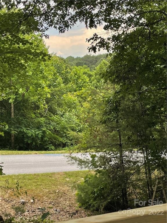 Property image 3 at 16 Courseview Drive, Weaverville, NC 28787