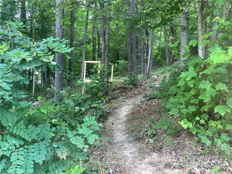 Property image 4 at 16 Courseview Drive, Weaverville, NC 28787