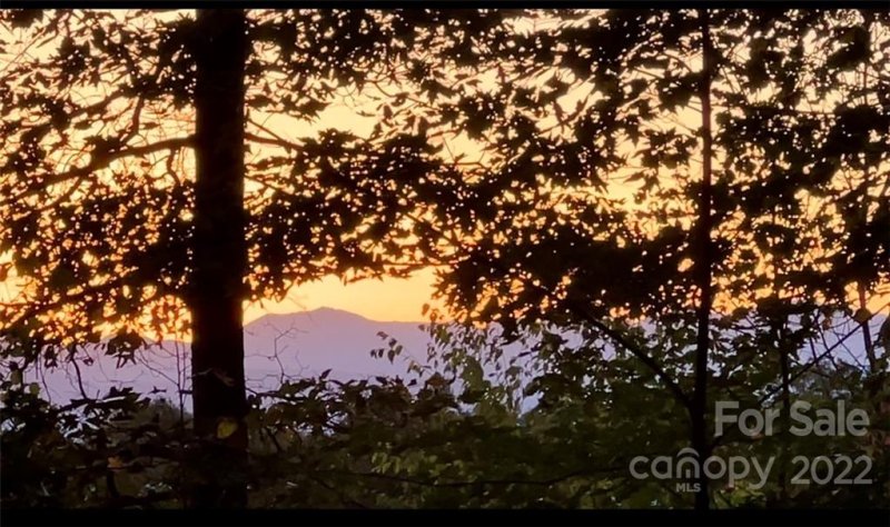 Property image 5 at 16 Courseview Drive, Weaverville, NC 28787