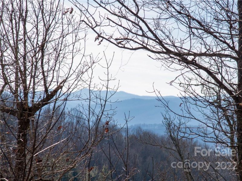 Property image 5 at 44 Giffords Lane, Asheville, NC 28803