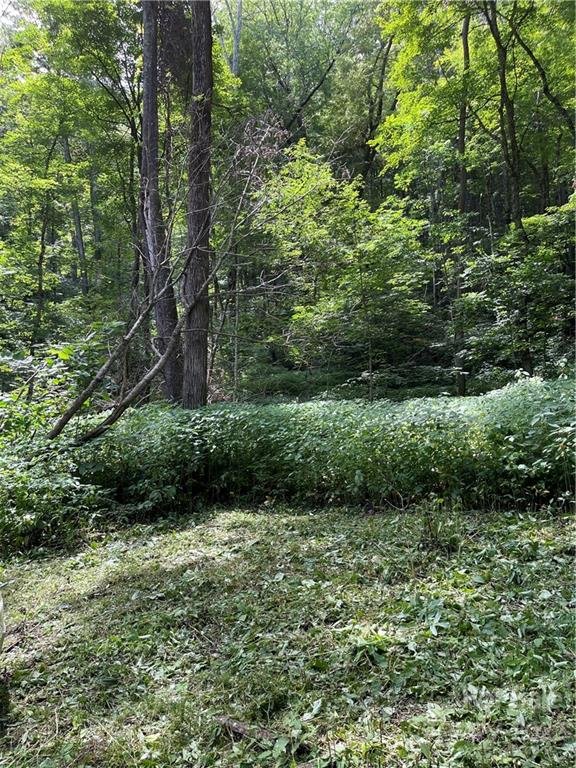 Property image 4 at 779 Apple Creek Road, Waynesville, NC 28786