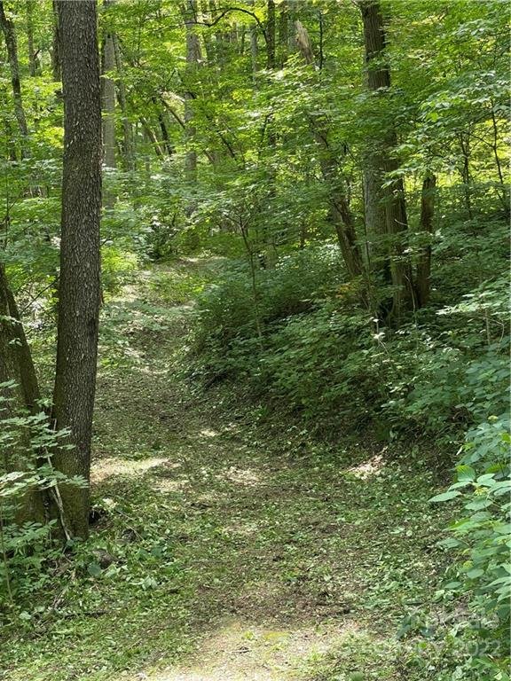 Property image 5 at 779 Apple Creek Road, Waynesville, NC 28786