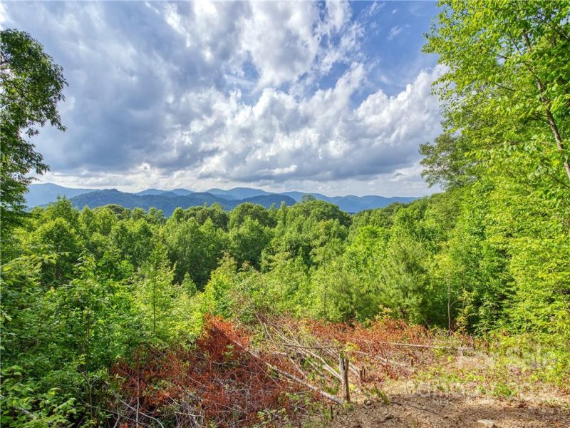 Property image 3 at Lot 25 Glade Mountain Drive, Canton, NC 28716