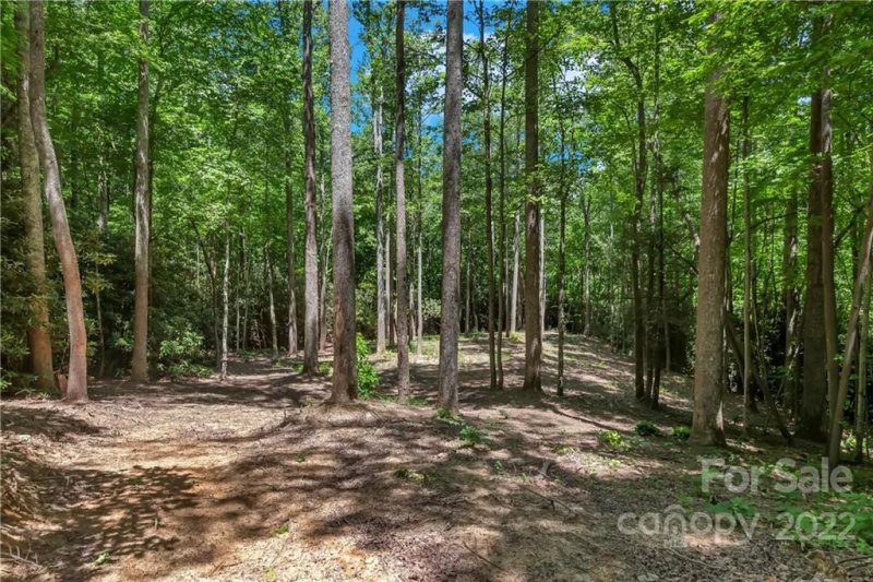 Property image 4 at Lot 73 Mountain Grove Lane, Fletcher, NC 28732
