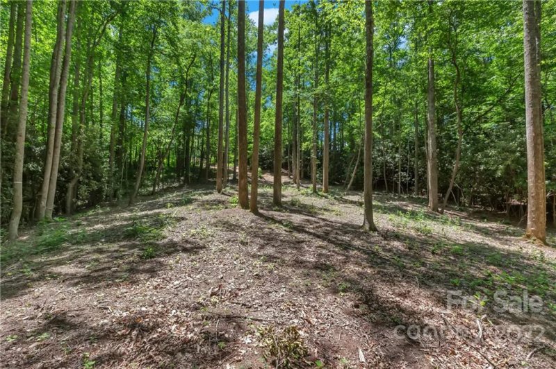 Property image 5 at Lot 73 Mountain Grove Lane, Fletcher, NC 28732
