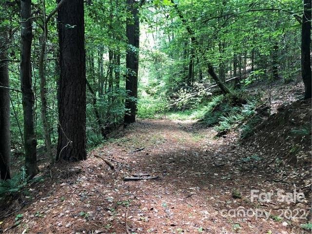 Property image 3 at 106 Ridge Top Drive, Connelly Springs, NC 28612