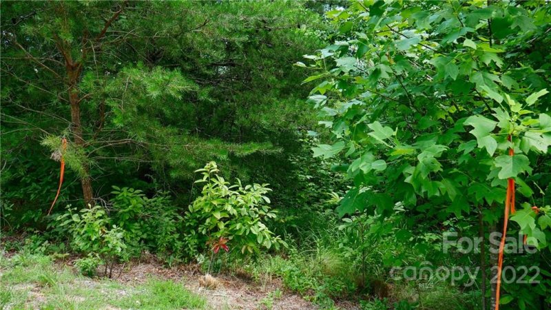 Property image 5 at Tbd Firefly Trail, Marshall, NC 28753