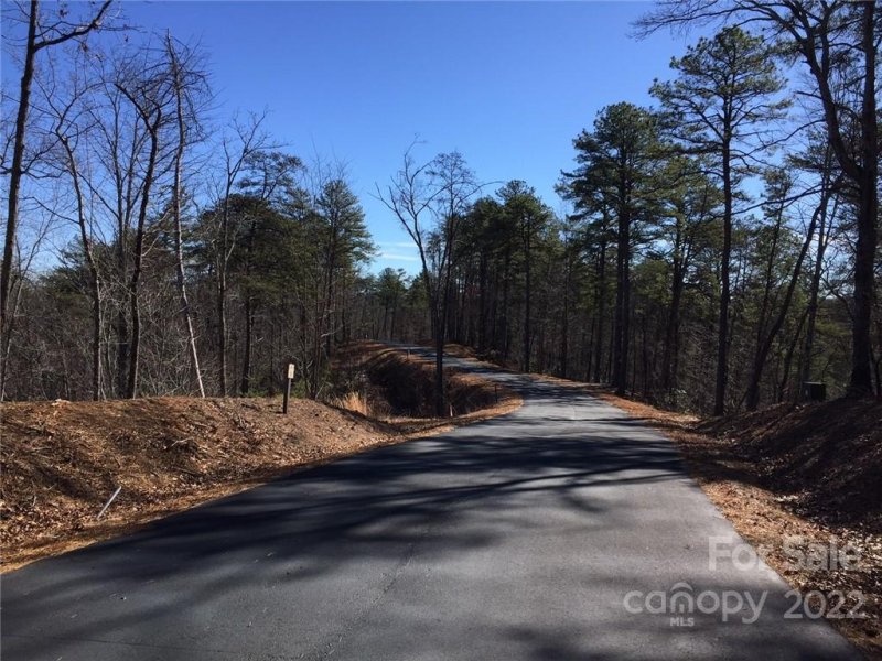 Property image 3 at 0 Lure Ridge Drive, Lake Lure, NC 28746