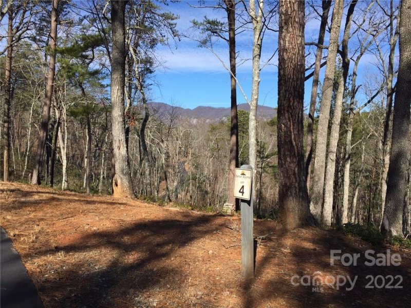 Property image 5 at 0 Lure Ridge Drive, Lake Lure, NC 28746