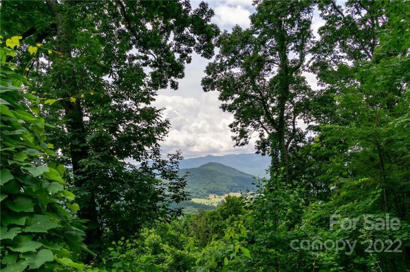 Property image 5 at 7 Wedgewood Terrace, Black Mountain, NC 28711