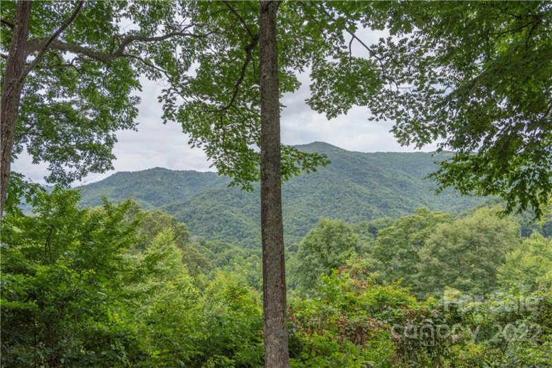 Property image 4 at 309 Pats Lane, Clyde, NC 28721