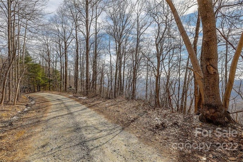 Property image 2 at 0 Pinnacle Drive, Tryon, NC 28782