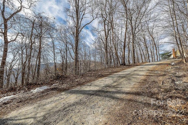 Property image 3 at 0 Pinnacle Drive, Tryon, NC 28782