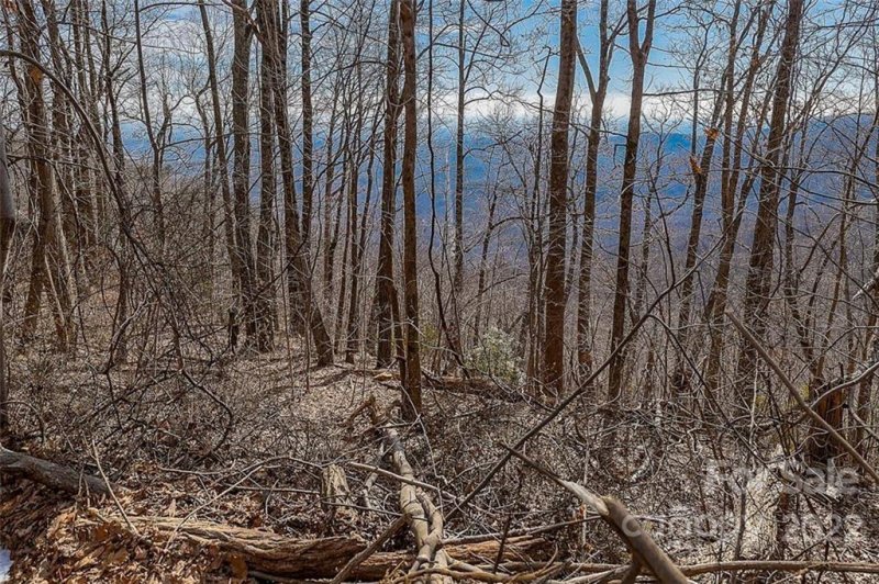 Property image 4 at 0 Pinnacle Drive, Tryon, NC 28782