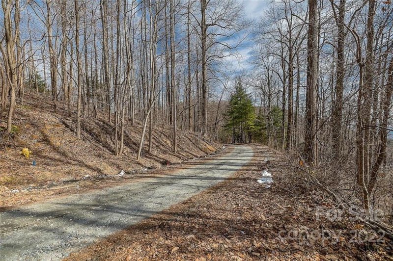 Property image 5 at 0 Pinnacle Drive, Tryon, NC 28782