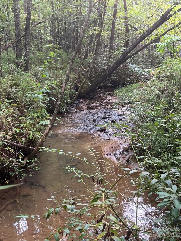 Property image 3 at 0 Hidden Lake Parkway, Nebo, NC 28671