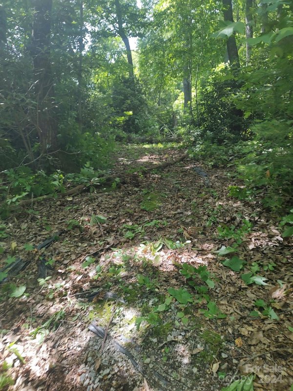 Property image 2 of 314 Burnside Trail in Twin Brooks, Hendersonville, NC 28792