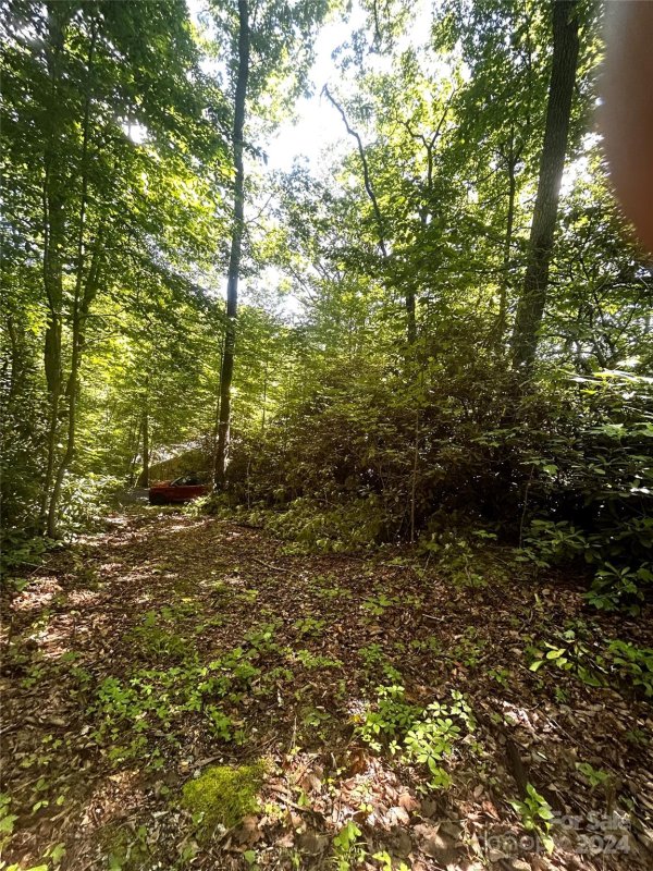 Property image 5 of 314 Burnside Trail in Twin Brooks, Hendersonville, NC 28792