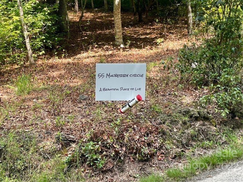 Property image 2 at 55 Mulberry Circle, Brevard, NC 28712