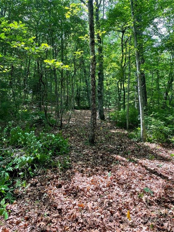 Property image 3 at 55 Mulberry Circle, Brevard, NC 28712