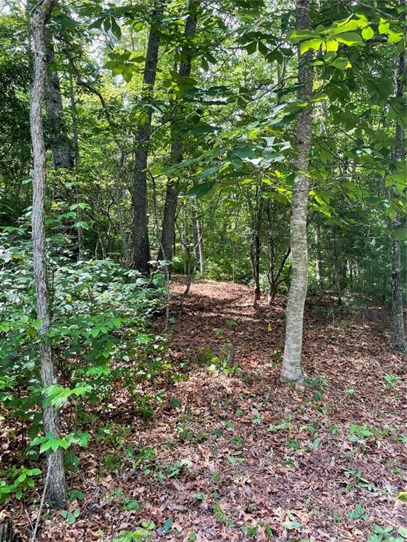 Property image 4 at 55 Mulberry Circle, Brevard, NC 28712