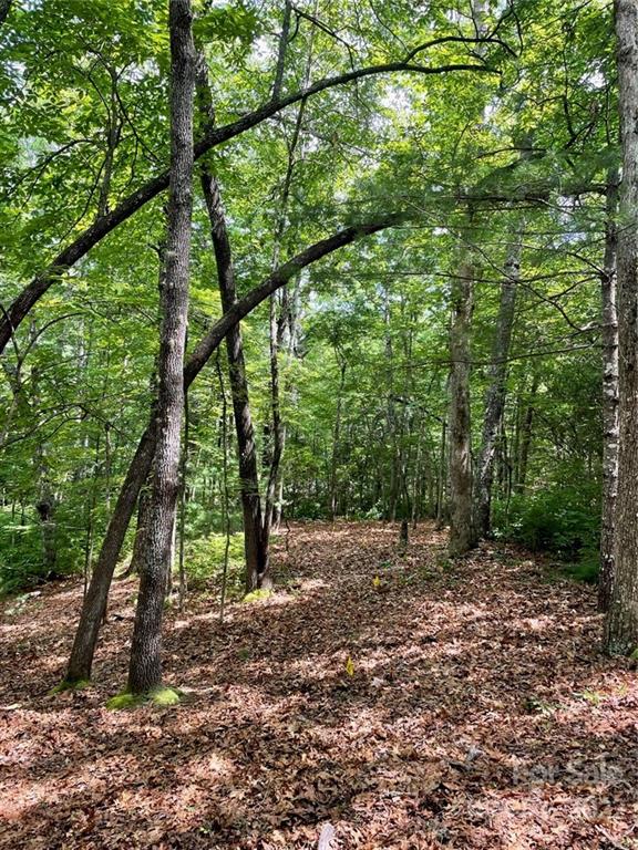 Property image 5 at 55 Mulberry Circle, Brevard, NC 28712