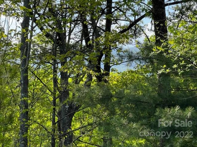 Property image 2 at 0000 Clear Creek Trail, Lake Lure, NC 28746