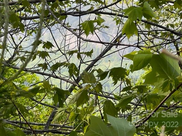 Property image 3 at 0000 Clear Creek Trail, Lake Lure, NC 28746