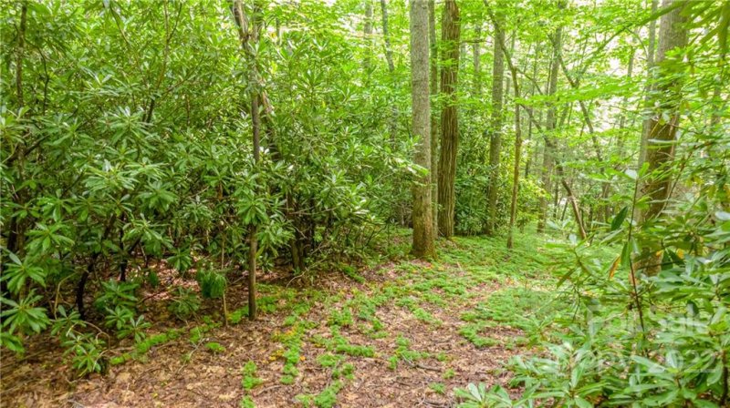 Property image 4 at 99999 Tbd Ridge Top Road, Pisgah Forest, NC 28768