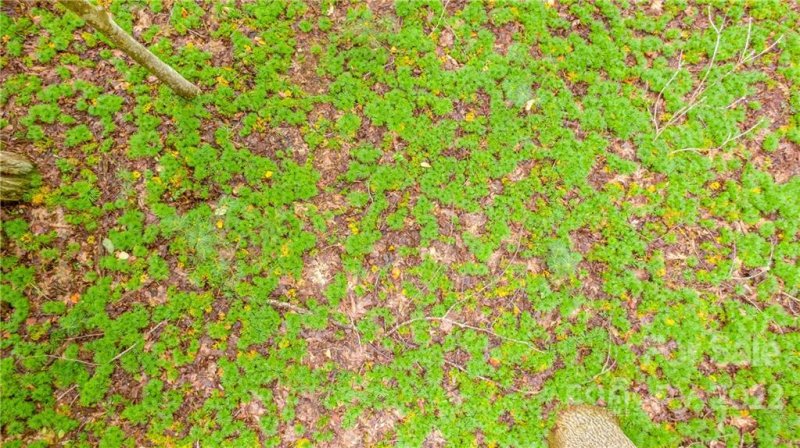 Property image 5 at 99999 Tbd Ridge Top Road, Pisgah Forest, NC 28768