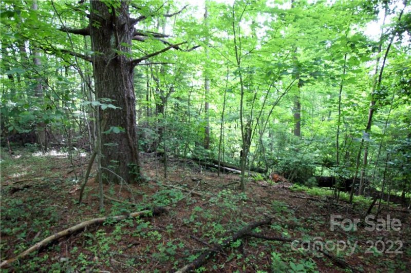 Property image 3 at Lots 319b 319a Severy Lane, Brevard, NC 28712