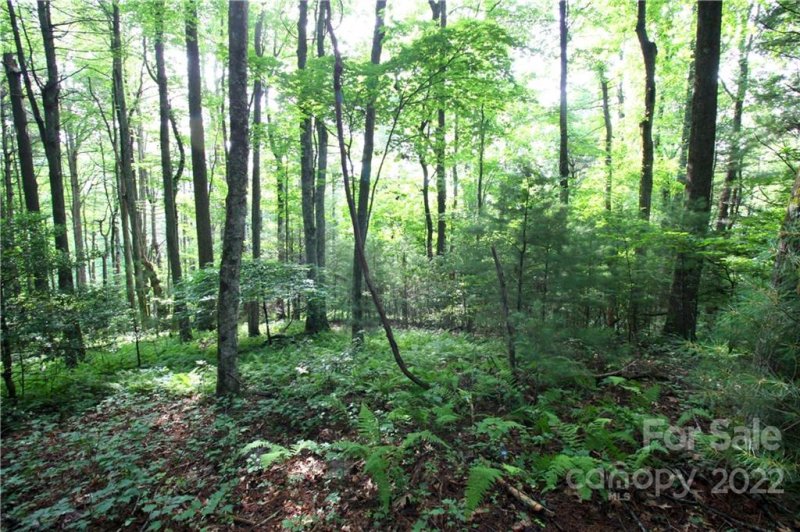 Property image 5 at Lots 319b 319a Severy Lane, Brevard, NC 28712