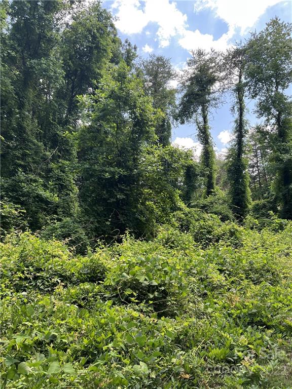 Property image 5 at 0000 Executive Circle, Denver, NC 28037