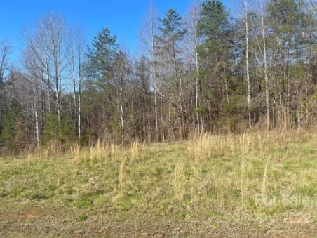 Property image 5 at 00 Hope Drive, Rutherfordton, NC 28139