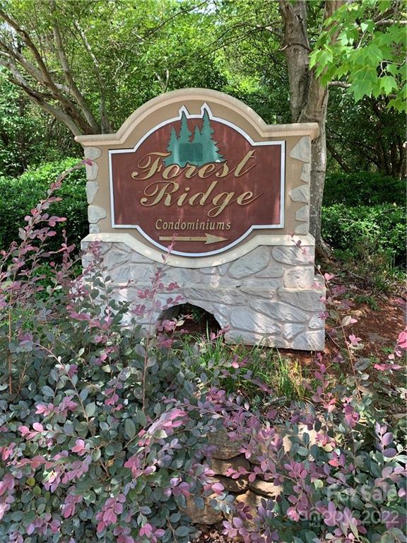 Property image 4 at 6055 Treetop Court, Charlotte, NC 28212