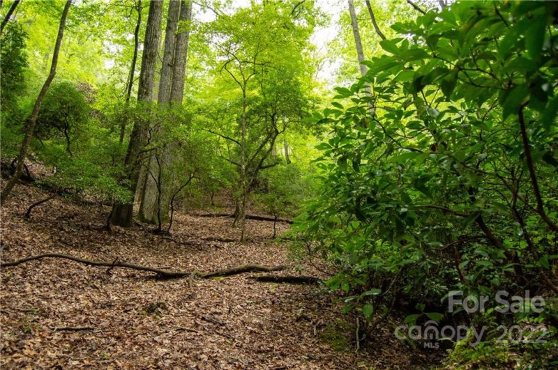 Property image 2 at Lot 132 133 Watershed Way, Horse Shoe, NC 28742