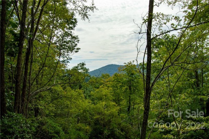 Property image 3 at Lot 132 133 Watershed Way, Horse Shoe, NC 28742
