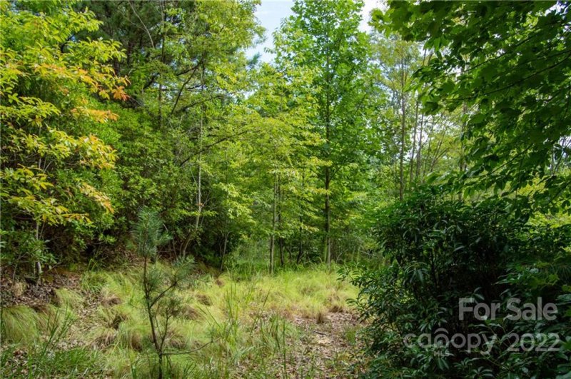 Property image 4 at Lot 132 133 Watershed Way, Horse Shoe, NC 28742
