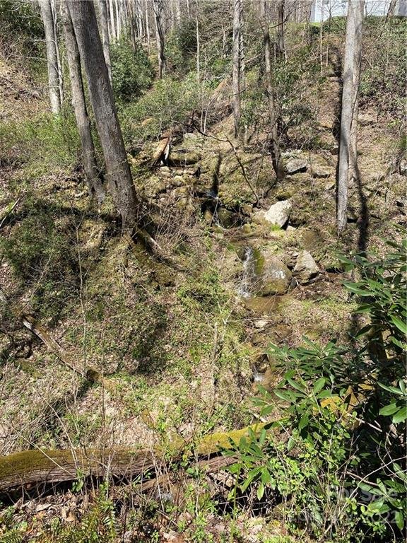 Property image 2 at V L Clinchfield Gap Road, Marion, NC 28752