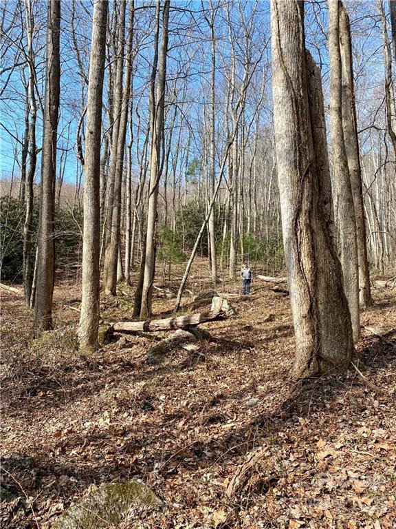 Property image 3 at V L Clinchfield Gap Road, Marion, NC 28752