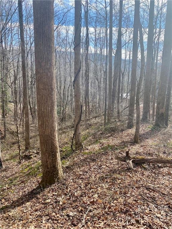 Property image 5 at V L Clinchfield Gap Road, Marion, NC 28752