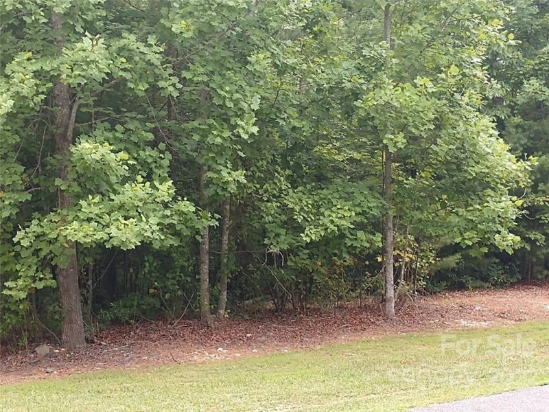 Property image 3 at 00 Forest Country Drive, Marion, NC 28752