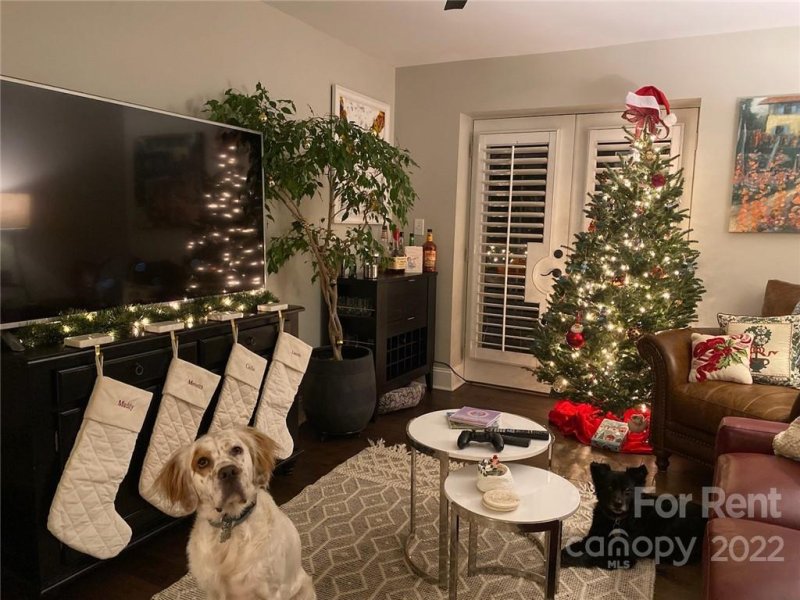 Property image 4 at 227 Dotger Avenue, Charlotte, NC 28207