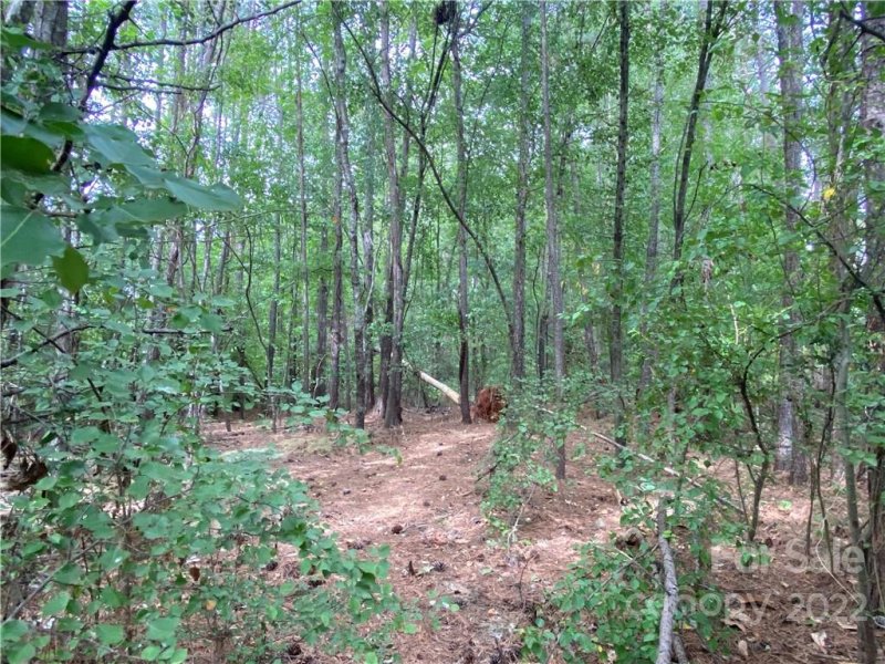 Property image 2 at 1662 Knightbridge Drive, Newton, NC 28658