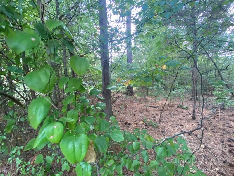 Property image 2 at 1613 Nottingham Drive, Newton, NC 28658