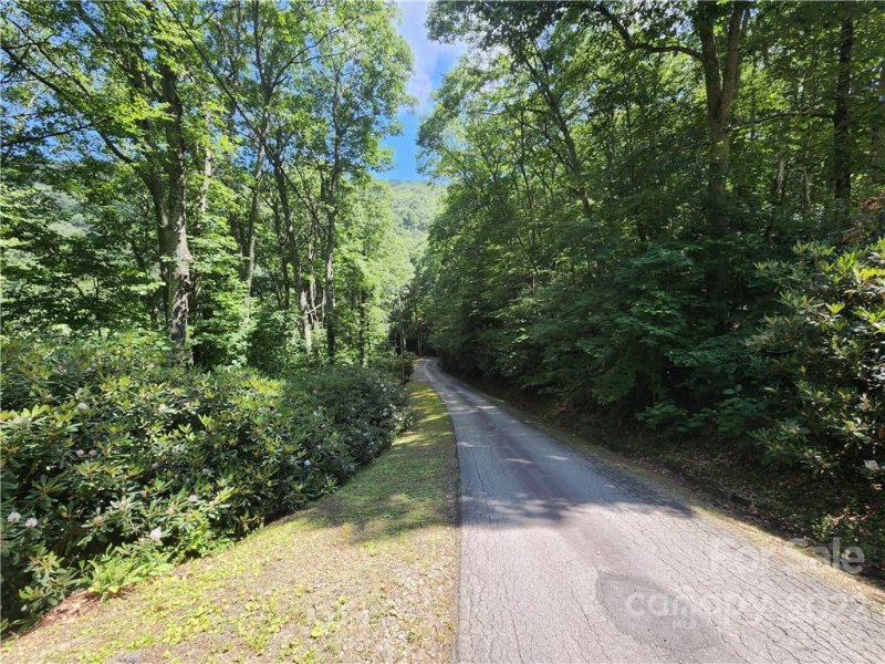 Property image 2 at 00 Promiseland Road, Canton, NC 28716