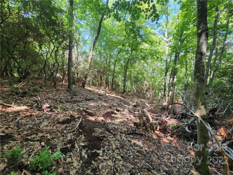 Property image 4 at 00 Promiseland Road, Canton, NC 28716